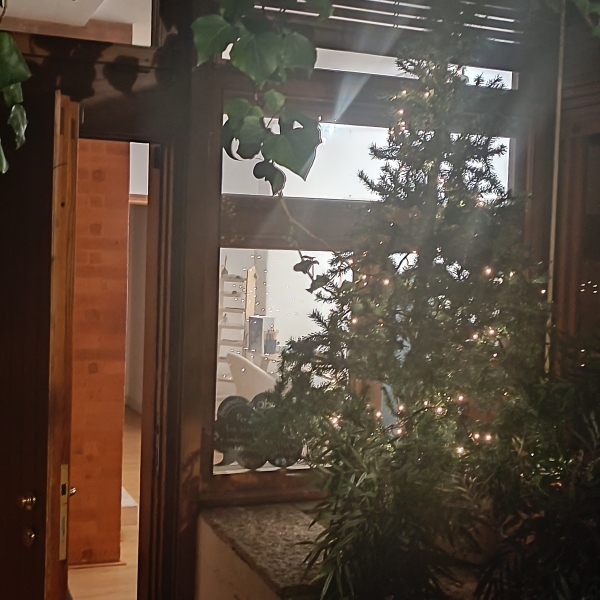 Natale a Oblò